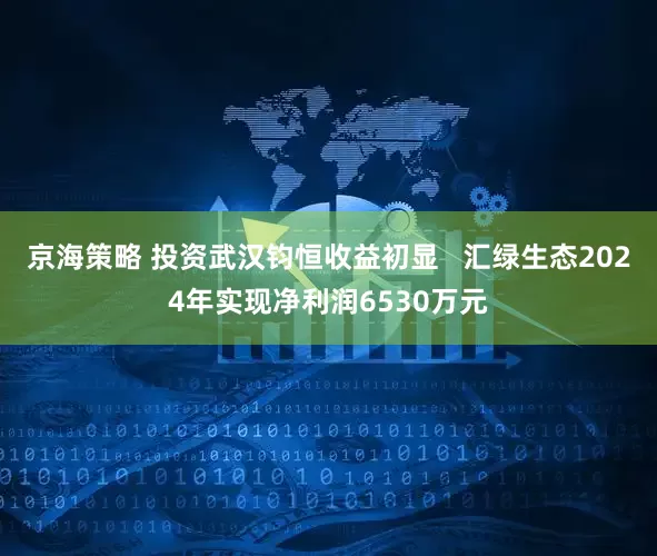 京海策略 投资武汉钧恒收益初显   汇绿生态2024年实现净利润6530万元