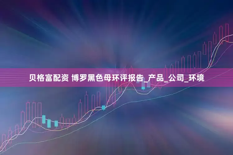 贝格富配资 博罗黑色母环评报告_产品_公司_环境