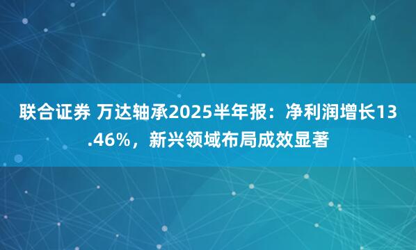 联合证券 万达轴承2025半年报：净利润增长13.46%，新兴领域布局成效显著
